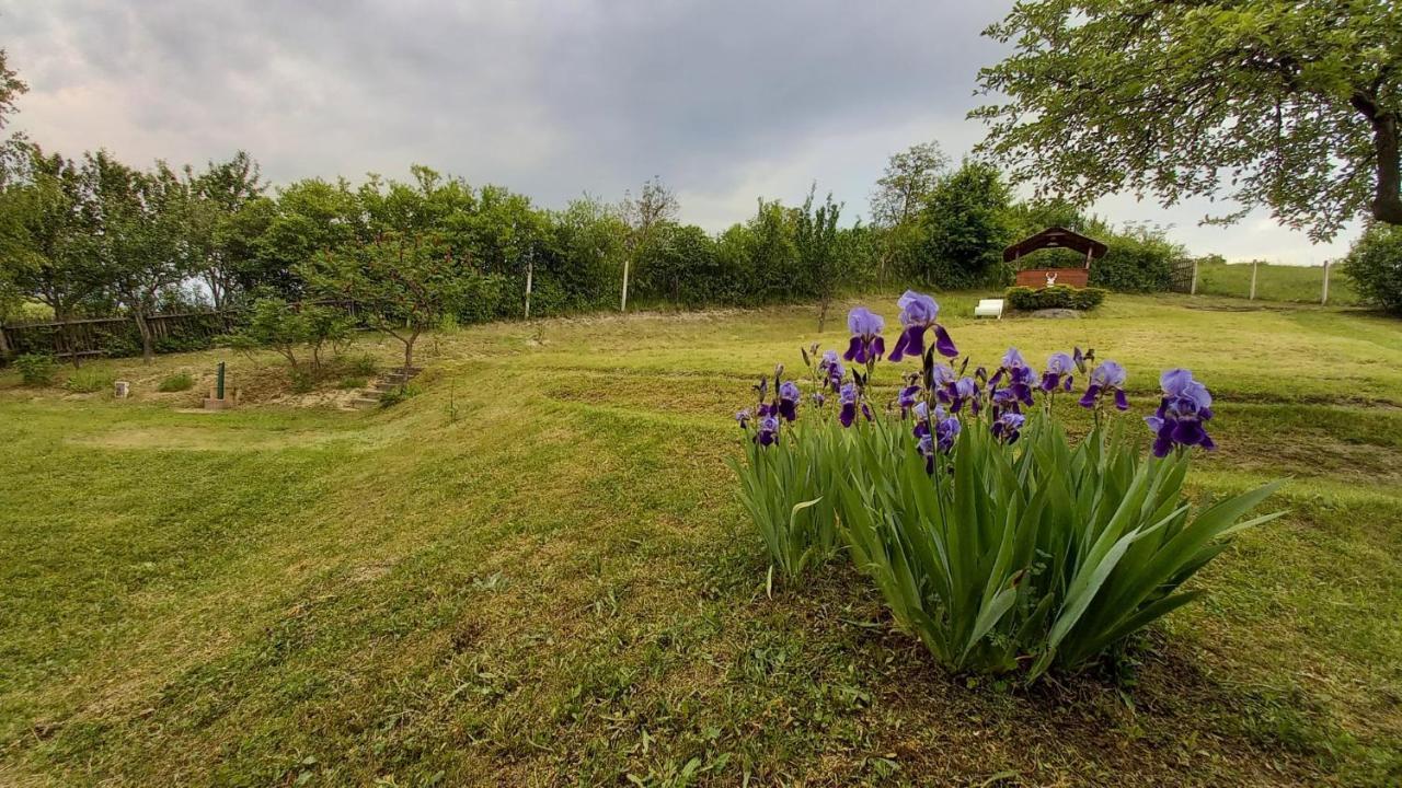 Vadaszles Vendeghaz Bukkszentmarton Exterior foto