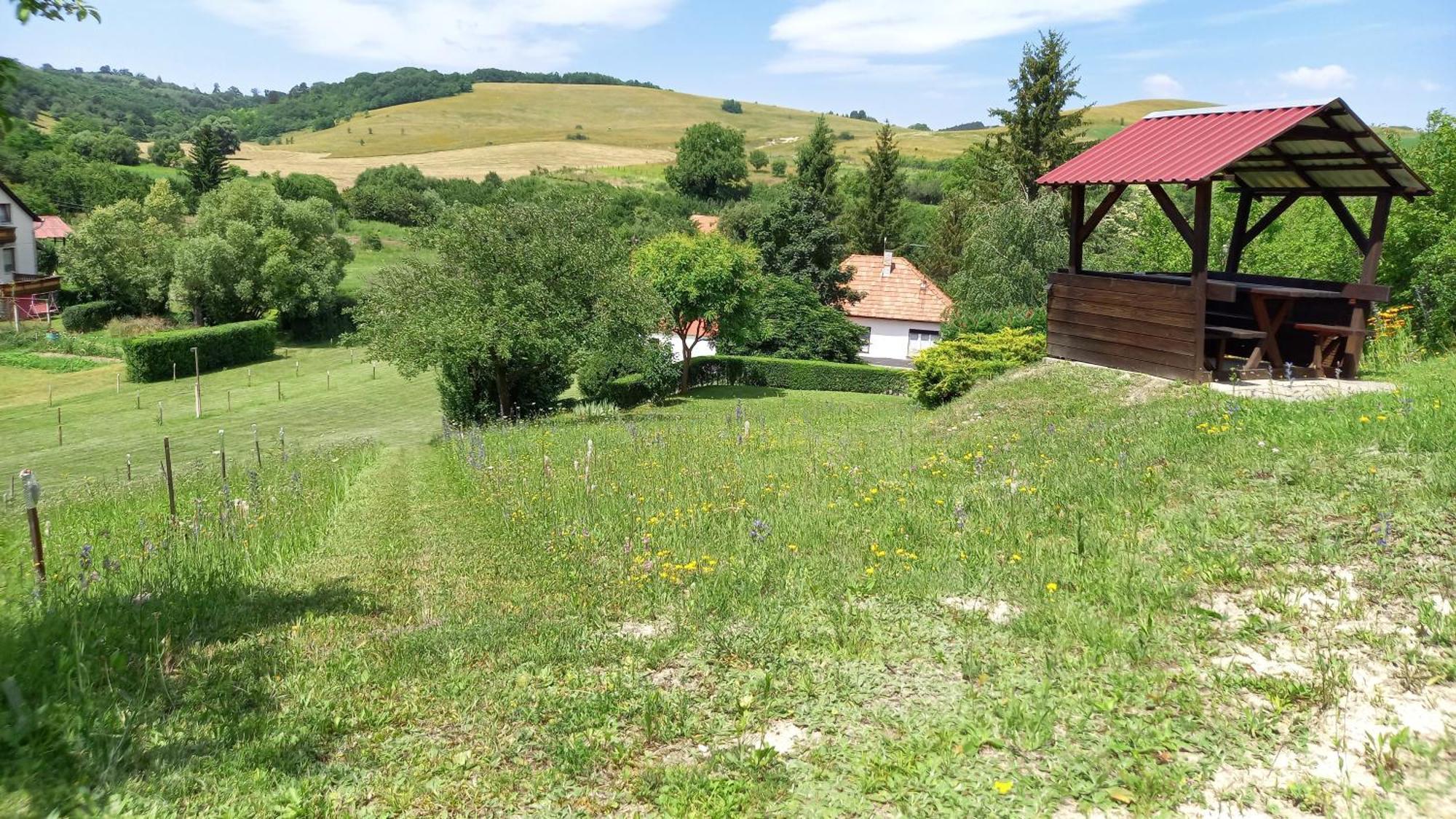 Vadaszles Vendeghaz Bukkszentmarton Exterior foto